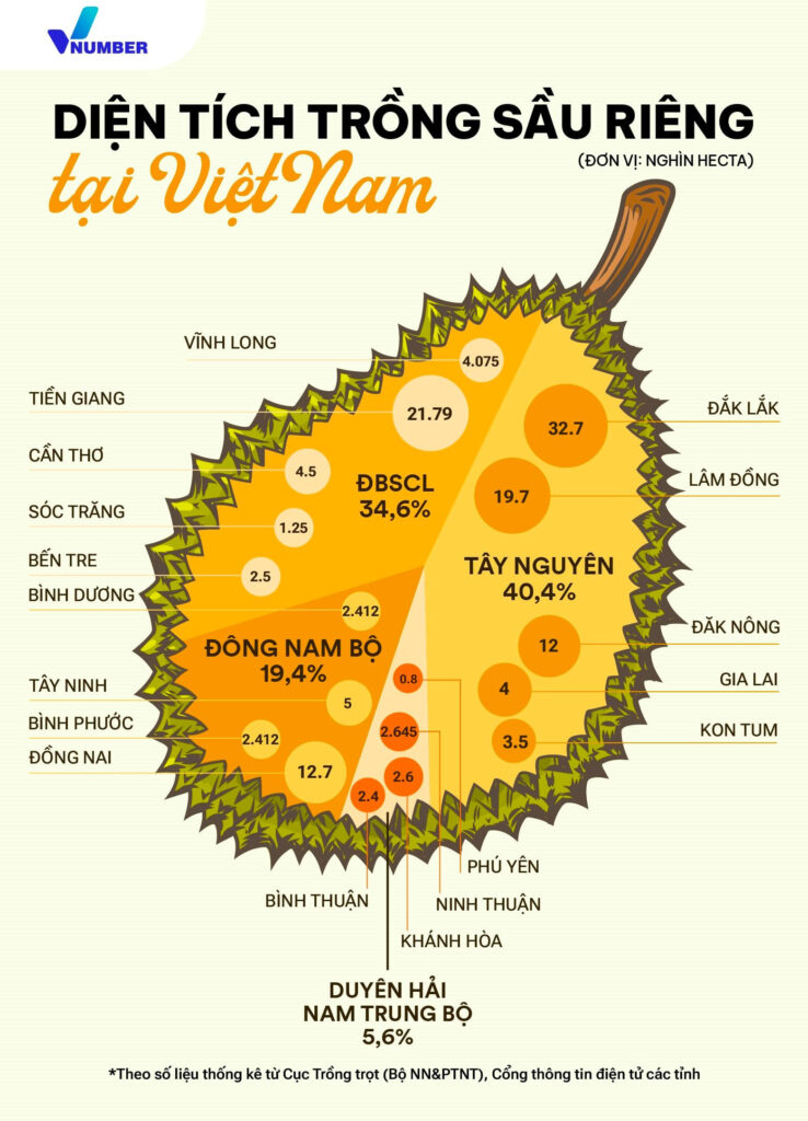 Vietnam | Durian cultivation